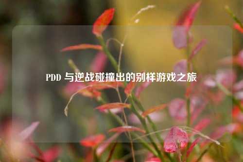 PDD 与逆战碰撞出的别样游戏之旅