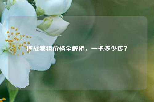 逆战狼狙价格全解析，一把多少钱？
