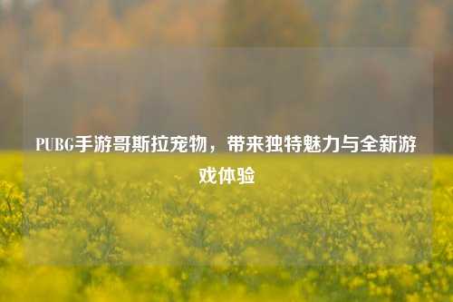 PUBG手游哥斯拉宠物，带来独特魅力与全新游戏体验