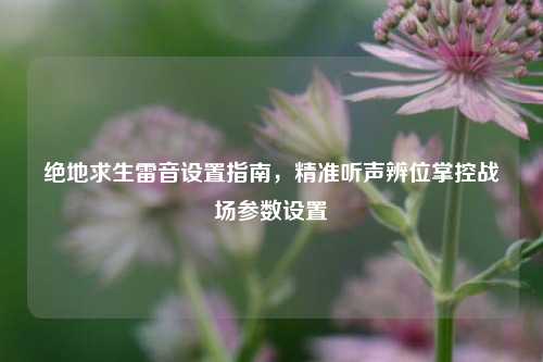 绝地求生雷音设置指南，精准听声辨位掌控战场参数设置