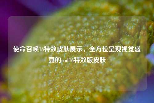 使命召唤16特效皮肤展示，全方位呈现视觉盛宴的cod16特效版皮肤