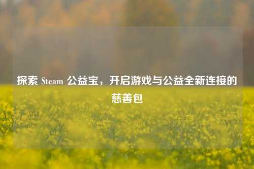 探索 Steam 公益宝，开启游戏与公益全新连接的慈善包