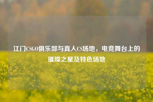 江门CSGO俱乐部与真人CS场地，电竞舞台上的璀璨之星及特色场地