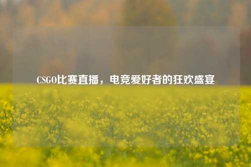 CSGO比赛直播，电竞爱好者的狂欢盛宴