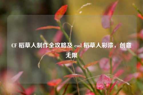 CF 稻草人制作全攻略及 csol 稻草人彩漆，创意无限