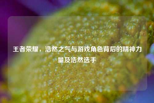 王者荣耀，浩然之气与游戏角色背后的精神力量及浩然选手