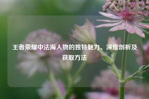 王者荣耀中法海人物的独特魅力、深度剖析及获取方法