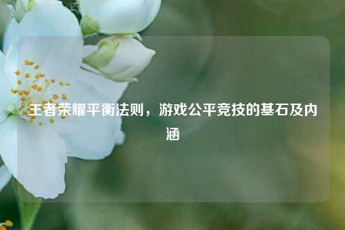 王者荣耀平衡法则，游戏公平竞技的基石及内涵