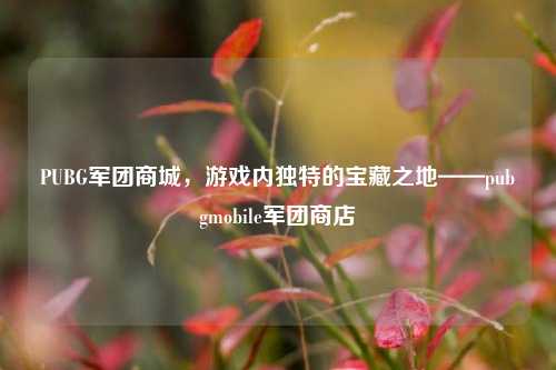 PUBG军团商城，游戏内独特的宝藏之地——pubgmobile军团商店