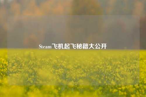Steam飞机起飞秘籍大公开