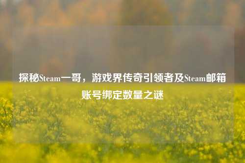 探秘Steam一哥,游戏界传奇引领者及Steam邮箱账号绑定数量之谜