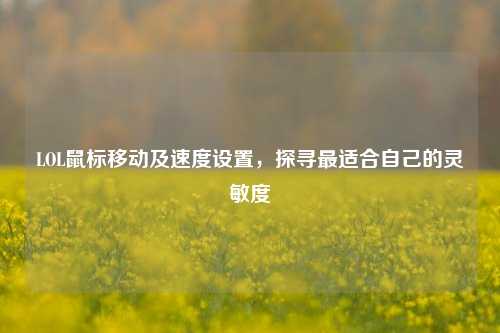 LOL鼠标移动及速度设置,探寻最适合自己的灵敏度