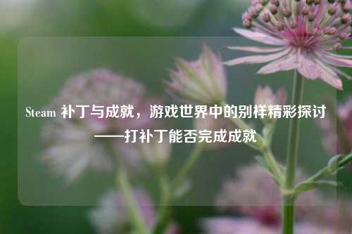 Steam 补丁与成就,游戏世界中的别样精彩探讨——打补丁能否完成成就