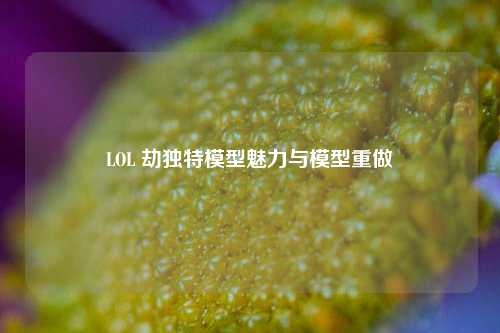 LOL 劫独特模型魅力与模型重做