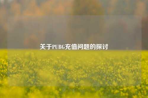 关于PUBG充值问题的探讨