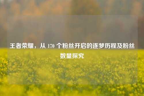 王者荣耀,从 170 个粉丝开启的逐梦历程及粉丝数量探究
