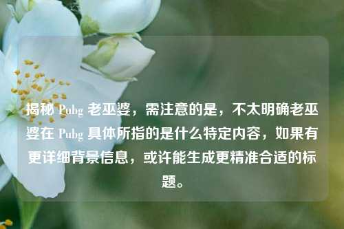 揭秘 Pubg 老巫婆,需注意的是,不太明确老巫婆在 Pubg 具体所指的是什么特定内容,如果有更详细背景信息,或许能生成更精准合适的标题。