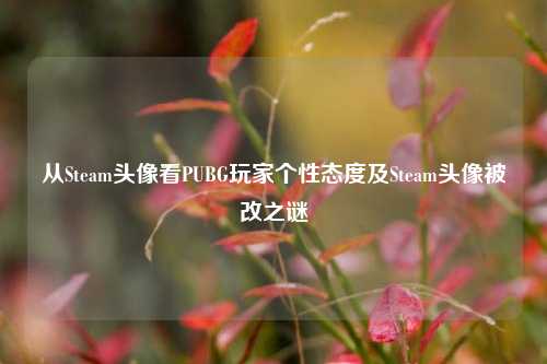 从Steam头像看PUBG玩家个性态度及Steam头像被改之谜