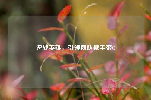 逆战英雄,引领团队携手带C