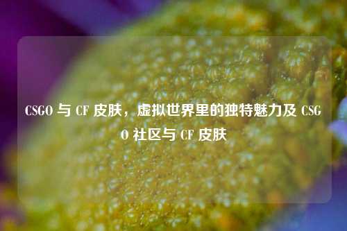 CSGO 与 CF 皮肤，虚拟世界里的独特魅力及 CSGO 社区与 CF 皮肤