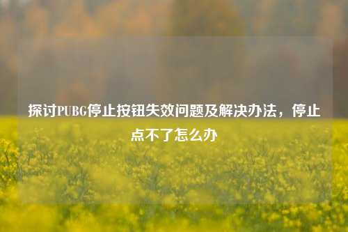 探讨PUBG停止按钮失效问题及解决办法,停止点不了怎么办