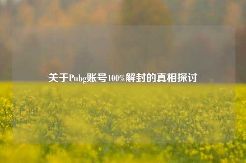 关于Pubg账号100%解封的真相探讨