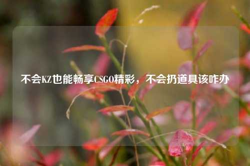 不会KZ也能畅享CSGO精彩,不会扔道具该咋办