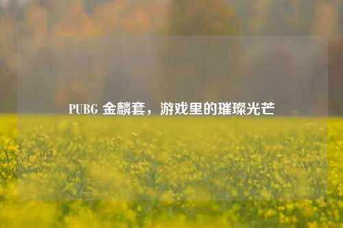 PUBG 金麟套,游戏里的璀璨光芒