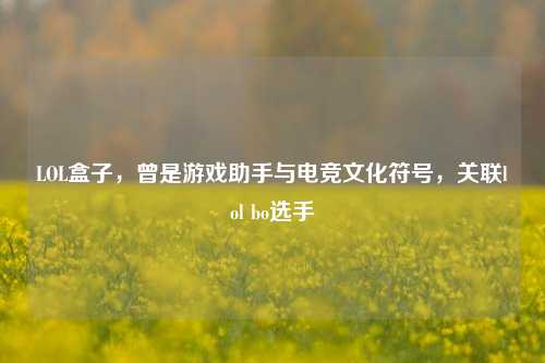 LOL盒子,曾是游戏助手与电竞文化符号,关联lol bo选手
