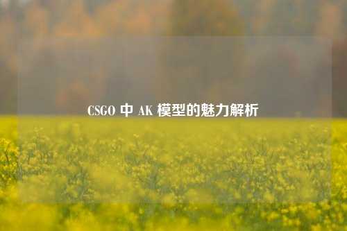 CSGO 中 AK 模型的魅力解析