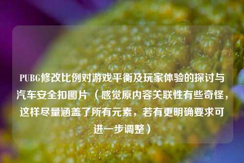 PUBG修改比例对游戏平衡及玩家体验的探讨与汽车安全扣图片 （感觉原内容关联性有些奇怪，这样尽量涵盖了所有元素，若有更明确要求可进一步调整）