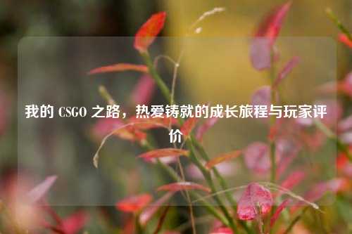 我的 CSGO 之路，热爱铸就的成长旅程与玩家评价