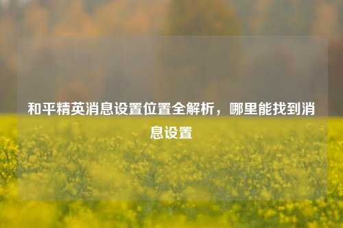 和平精英消息设置位置全解析，哪里能找到消息设置