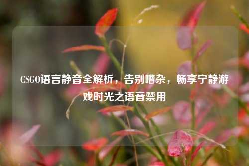 CSGO语言静音全解析，告别嘈杂，畅享宁静游戏时光之语音禁用
