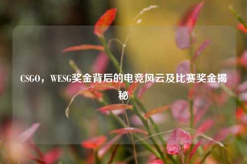 CSGO,WESG奖金背后的电竞风云及比赛奖金揭秘