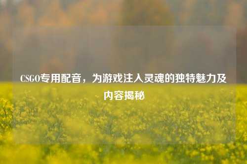 CSGO专用配音,为游戏注入灵魂的独特魅力及内容揭秘