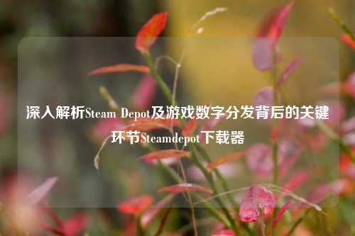 深入解析Steam Depot及游戏数字分发背后的关键环节Steamdepot下载器