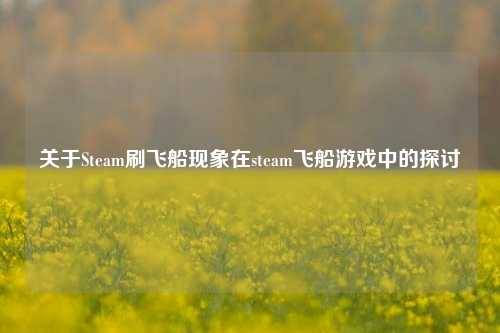 关于Steam刷飞船现象在steam飞船游戏中的探讨
