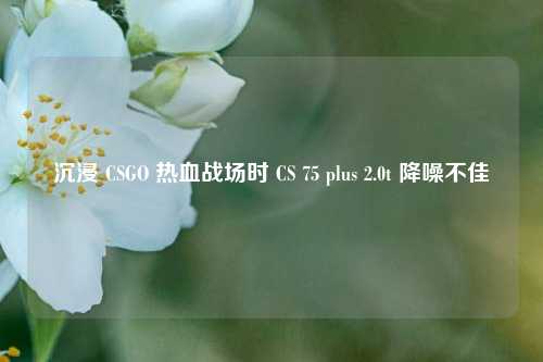 沉浸 CSGO 热血战场时 CS 75 plus 2.0t 降噪不佳