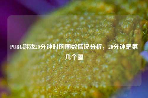 PUBG游戏20分钟时的圈数情况分析，20分钟是第几个圈