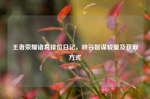 王者荣耀诸葛排位日记,峡谷智谋较量及获取方式
