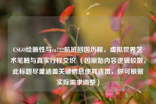 CSGO绘画性与ca722航班回国历程,虚拟世界艺术笔触与真实行程交织 (因原始内容逻辑较散,此标题尽量涵盖关键信息使其连贯,你可根据实际需求调整)