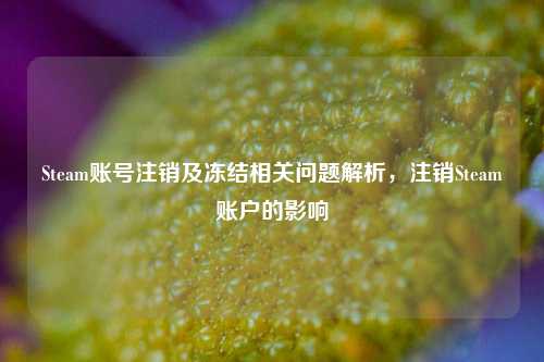 Steam账号注销及冻结相关问题解析,注销Steam账户的影响