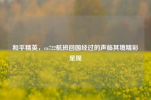 和平精英,ca722航班回国经过的声临其境精彩呈现