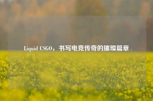 Liquid CSGO,书写电竞传奇的璀璨篇章