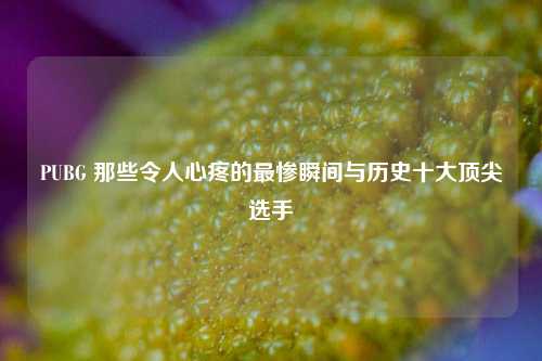 PUBG 那些令人心疼的最惨瞬间与历史十大顶尖选手