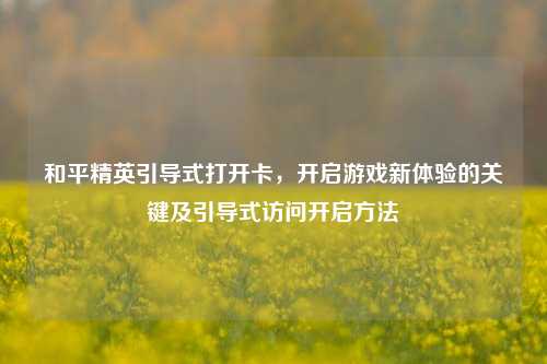 和平精英引导式打开卡,开启游戏新体验的关键及引导式访问开启方法