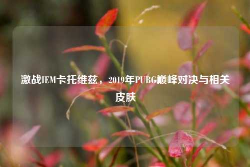 激战IEM卡托维兹,2019年PUBG巅峰对决与相关皮肤