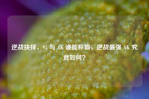 逆战抉择，95 与 AK 谁能称霸，逆战最强 AK 究竟如何？