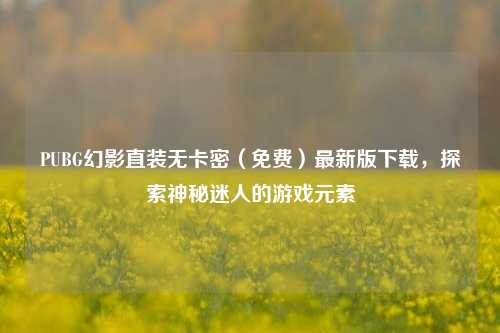 PUBG幻影直装无卡密(免费)最新版下载,探索神秘迷人的游戏元素
